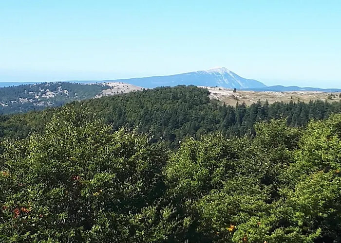 Bed & Breakfast La Maison De Lalouette