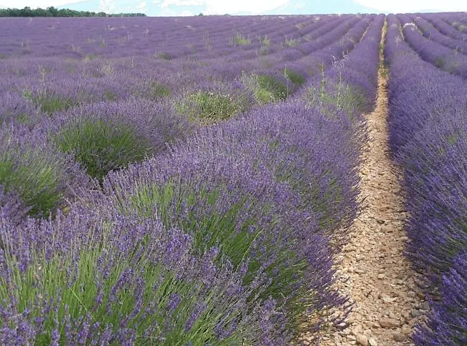 La Maison De Lalouette Bed & Breakfast 3*