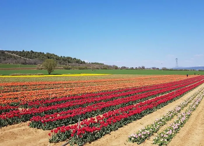 La Maison De Lalouette 3*
