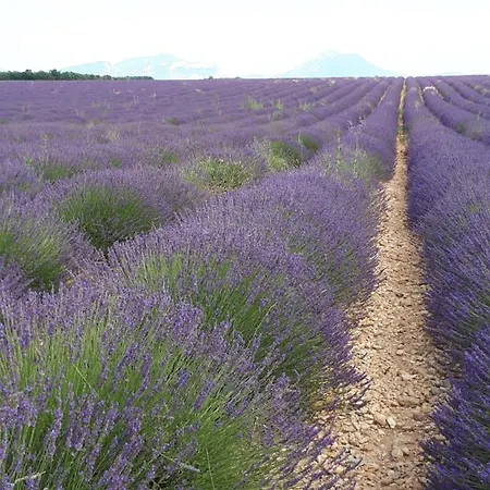 La Maison De Lalouette Bed and breakfast 3*