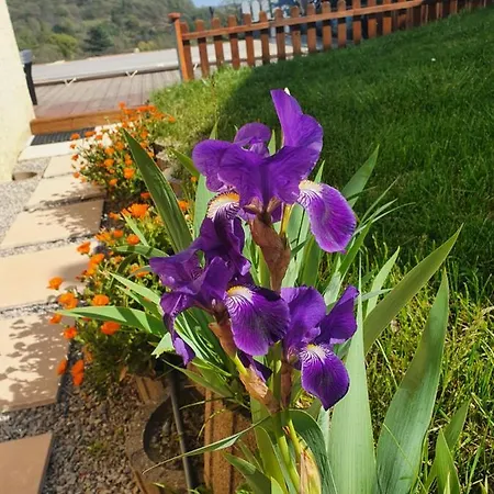La Maison De Lalouette Bed & Breakfast 3*
