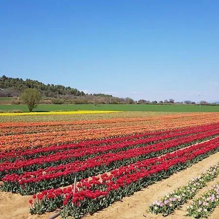 La Maison De Lalouette 3*
