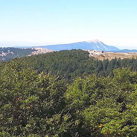 Bed & Breakfast La Maison De Lalouette Forcalquier